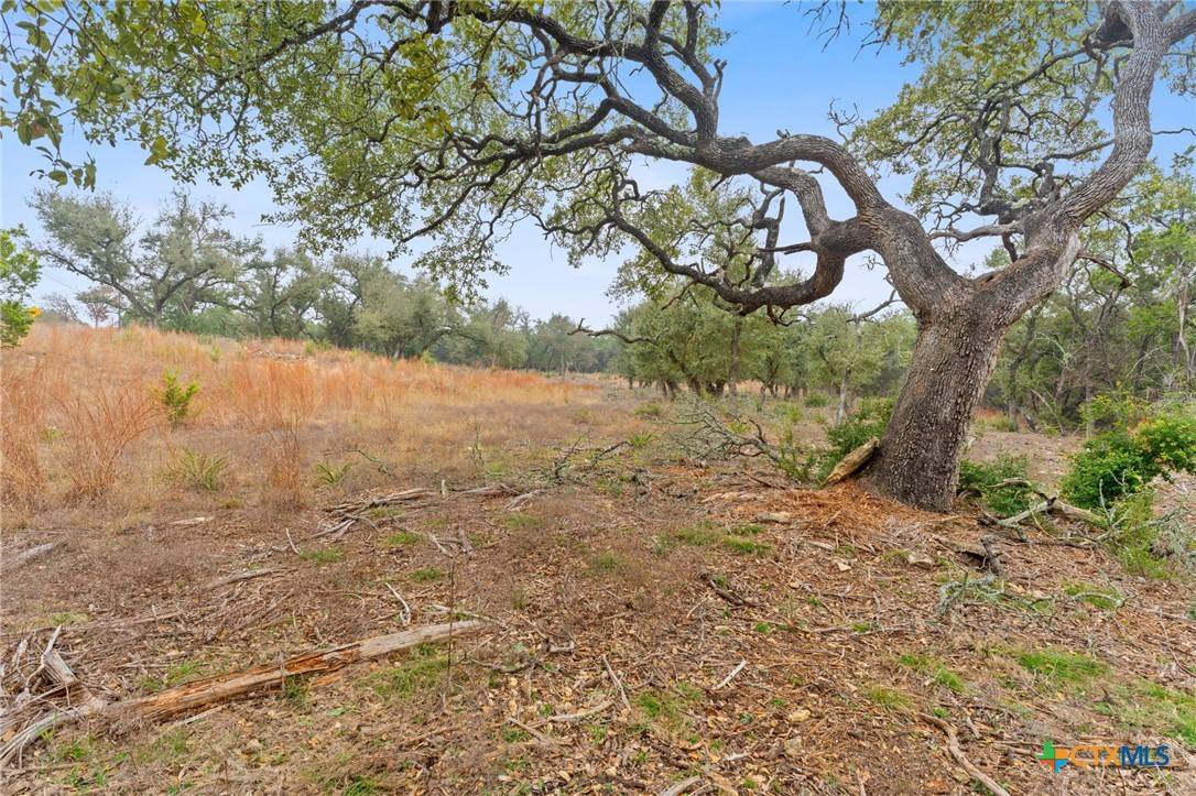 Driftwood, TX 78619,301 Lonesome TRL