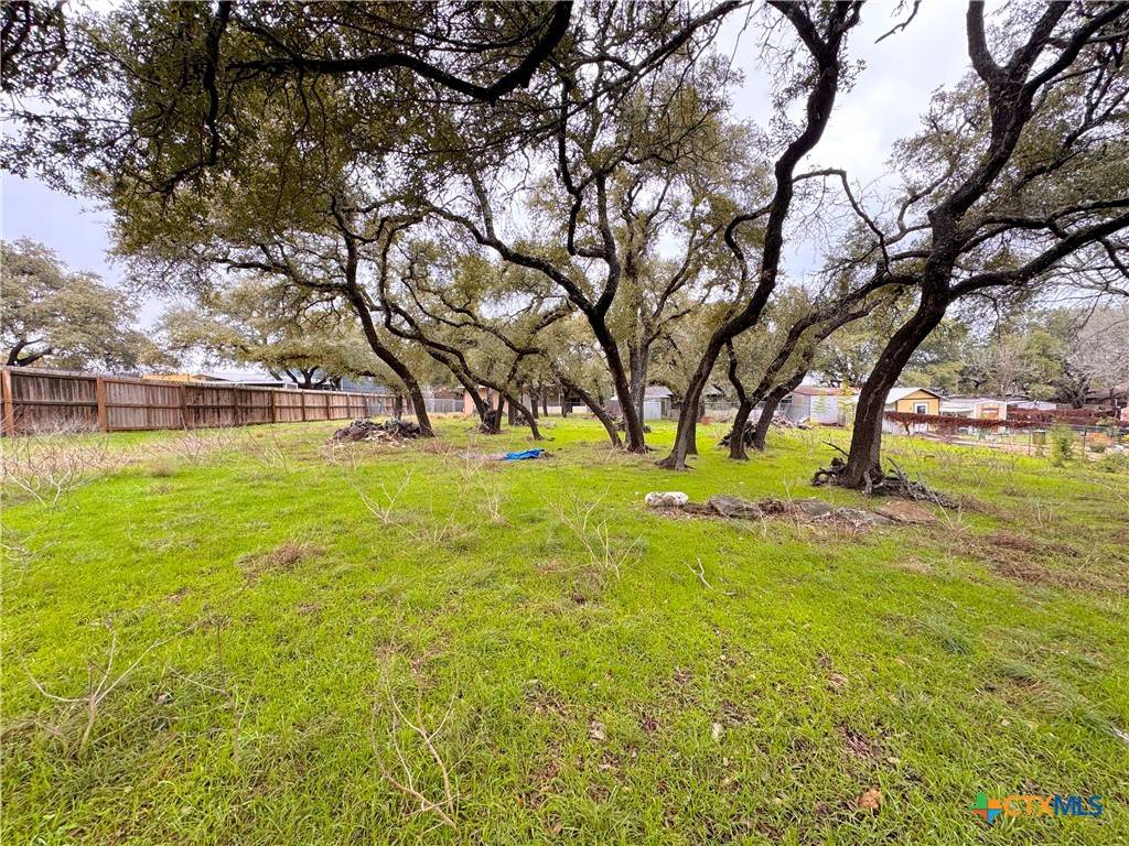 Canyon Lake, TX 78133,TBD Irene DR