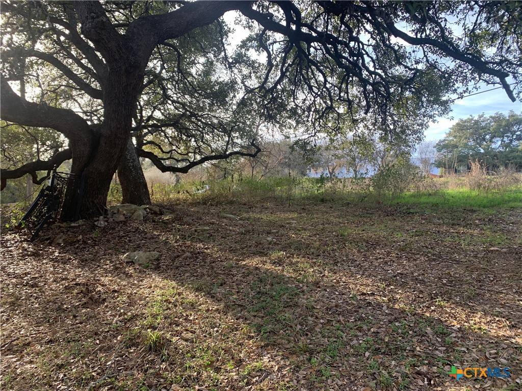 New Braunfels, TX 78132,2675 Country Ledge DR