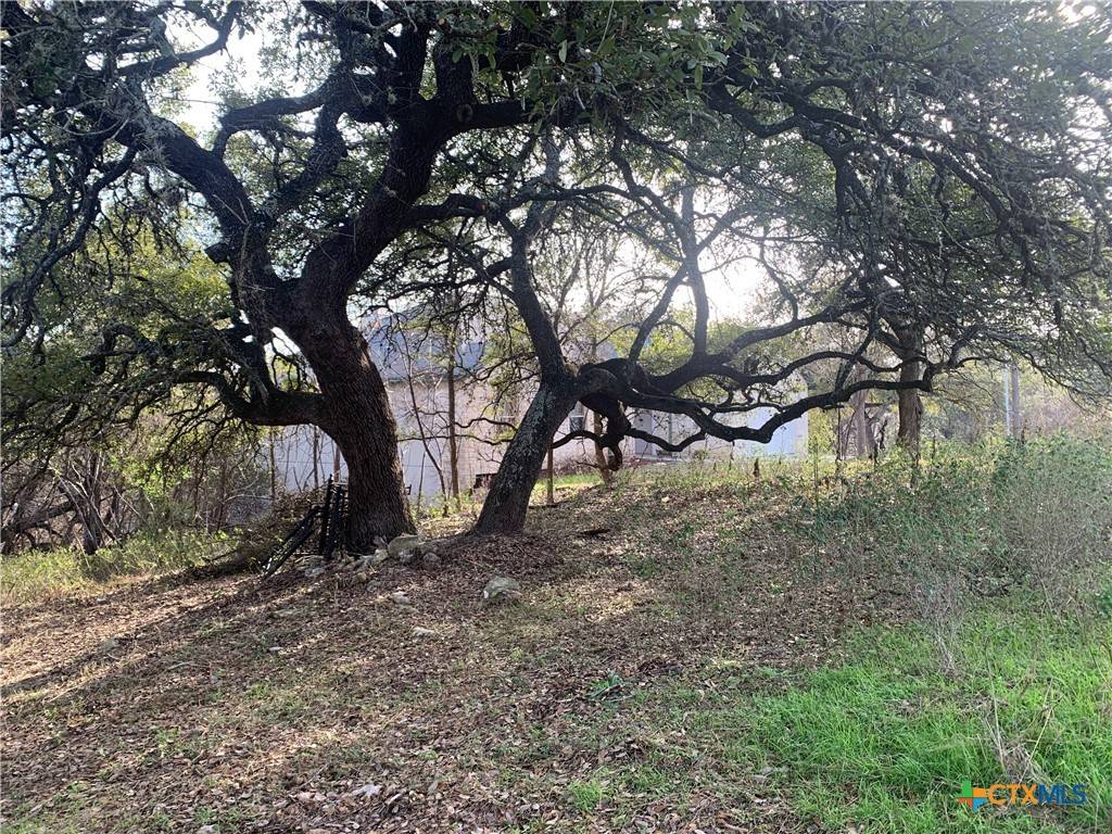 New Braunfels, TX 78132,2675 Country Ledge DR