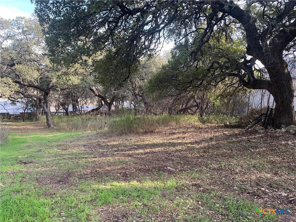 New Braunfels, TX 78132,2675 Country Ledge DR