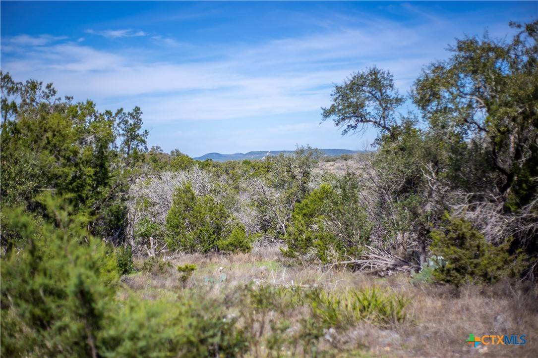 New Braunfels, TX 78132,3071 Summit DR