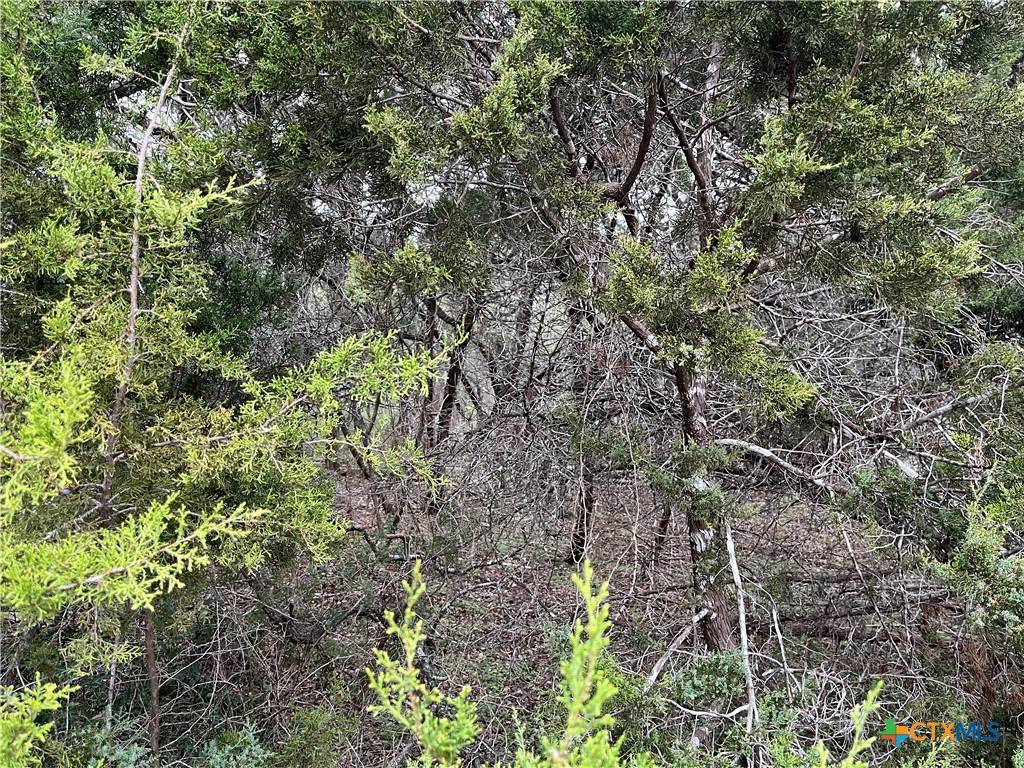 Canyon Lake, TX 78133,364 Lake Park LOOP