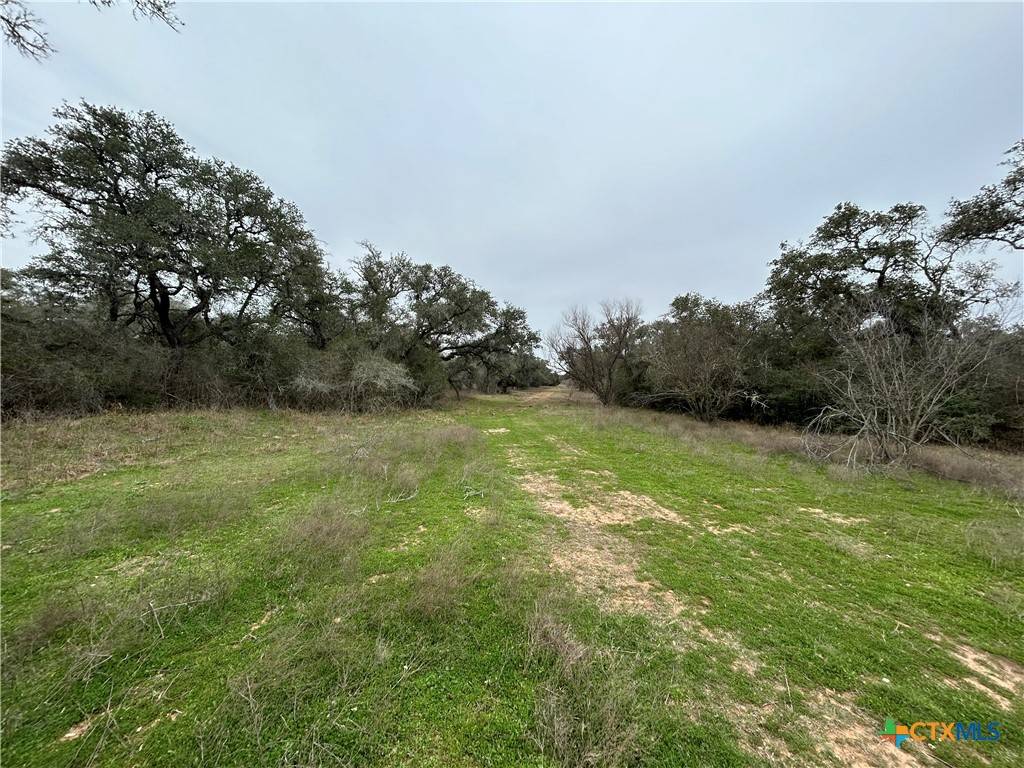 Yoakum, TX 77995,0 County Road 438