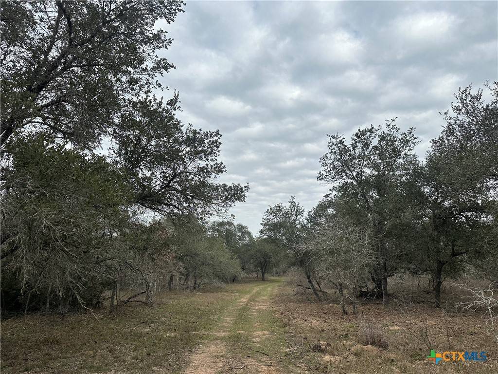 Meyersville, TX 77974,3 Dentler Tract 3 RD