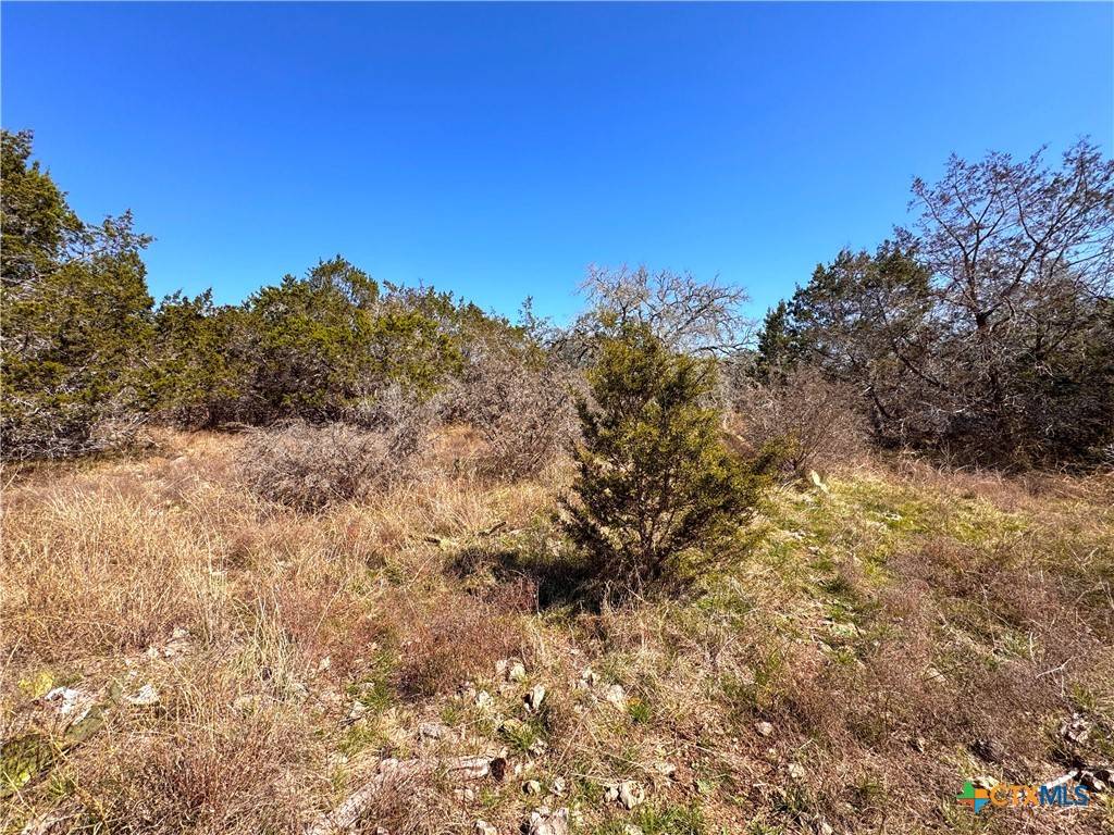 Spring Branch, TX 78070,172 Rayner CT