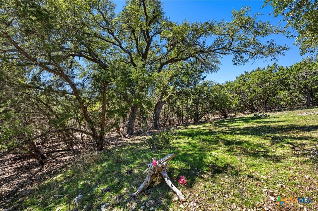Canyon Lake, TX 78133,541 Herauf DR