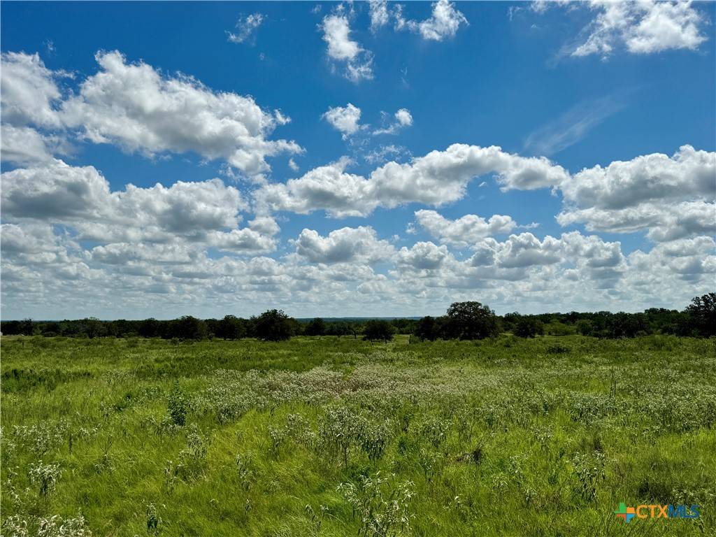 Stockdale, TX 78160,133 Wheeler ST