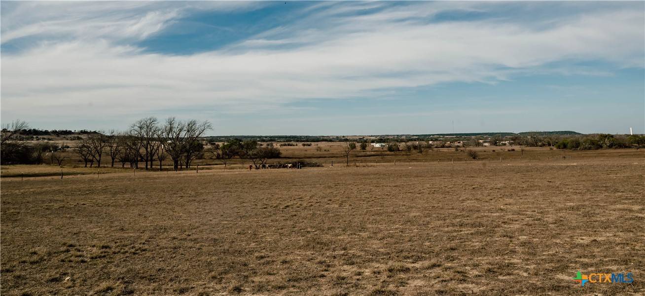 Evant, TX 76525,1884 Langford Cove RD