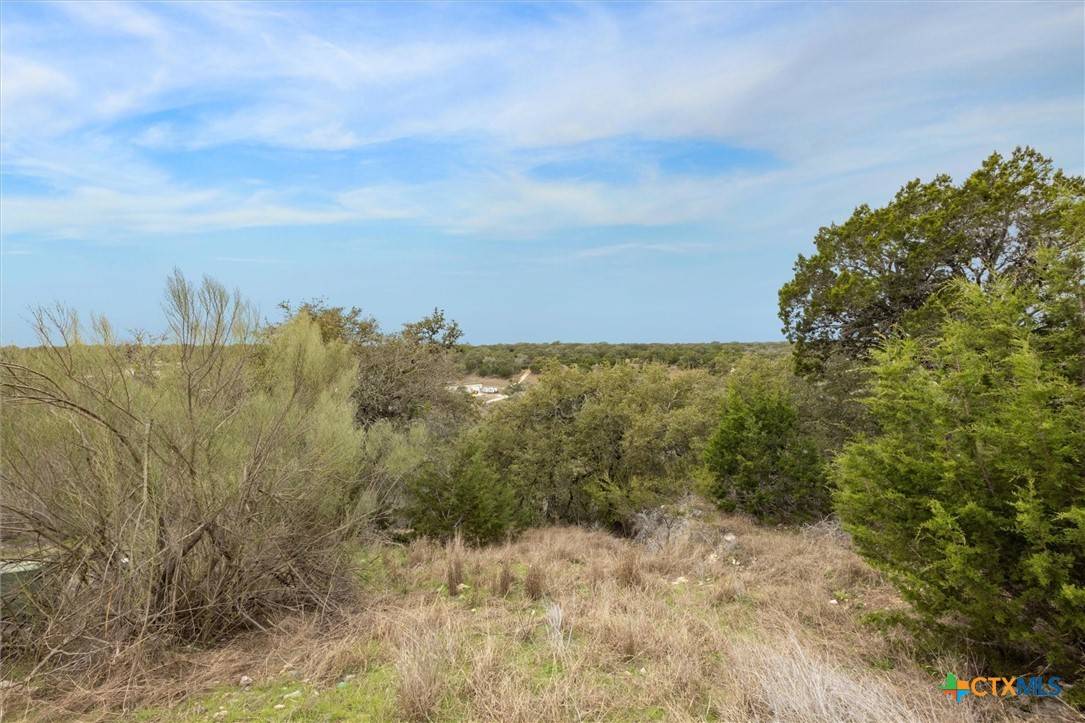 Spring Branch, TX 78070,500 Havasu PT