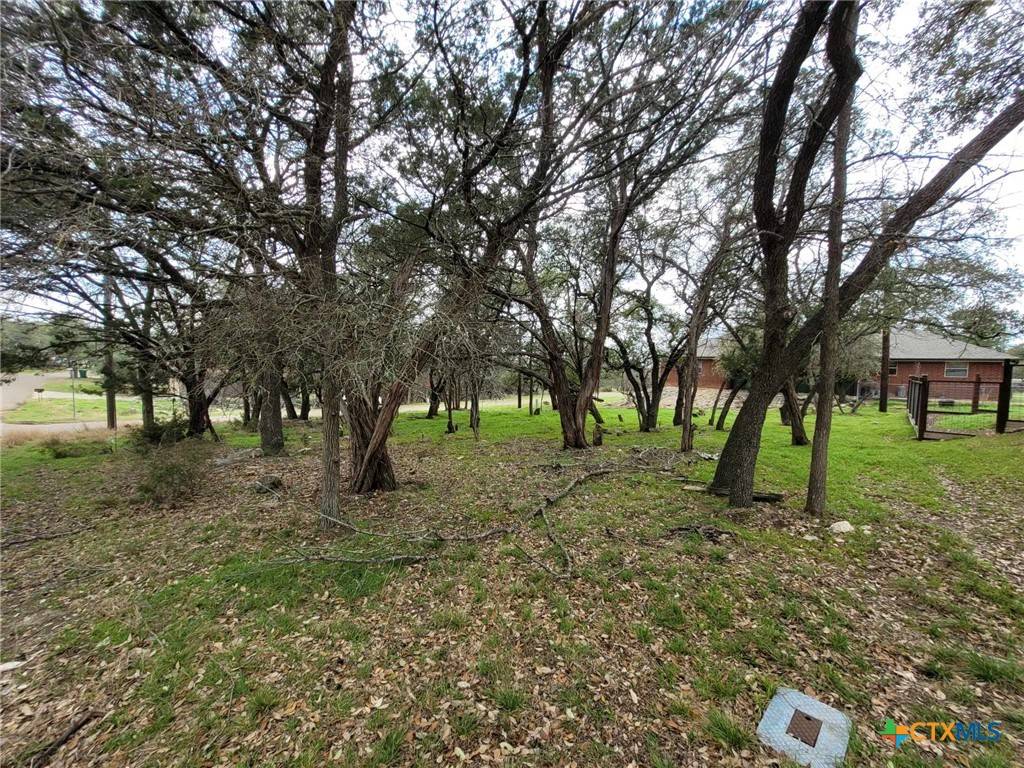Belton, TX 76513,14 S Cliffwood CIR