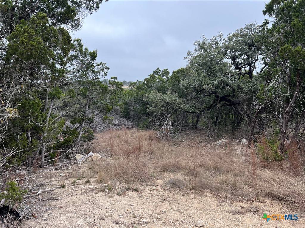 Spring Branch, TX 78070,713 Stagecoach