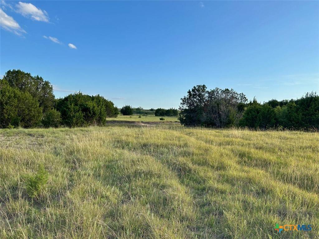 Lampasas, TX 76550,Lots 62-63 Shin Oak / Mourning Dove DR