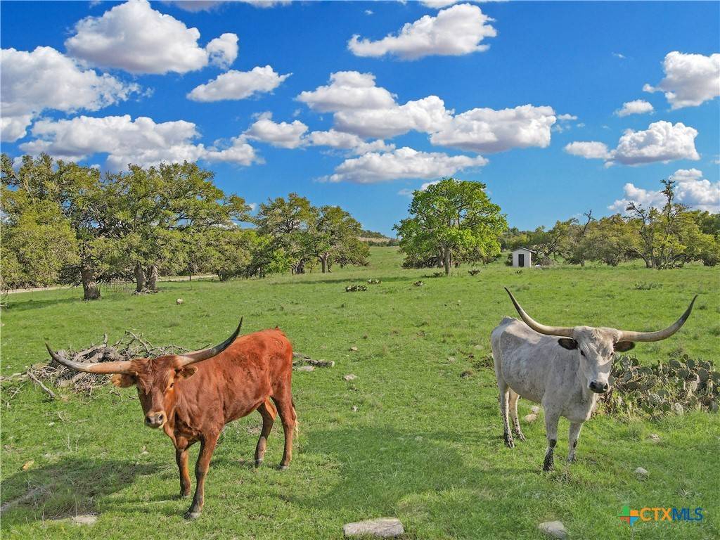 Fredericksburg, TX 78624,55 Thriving Oak DR