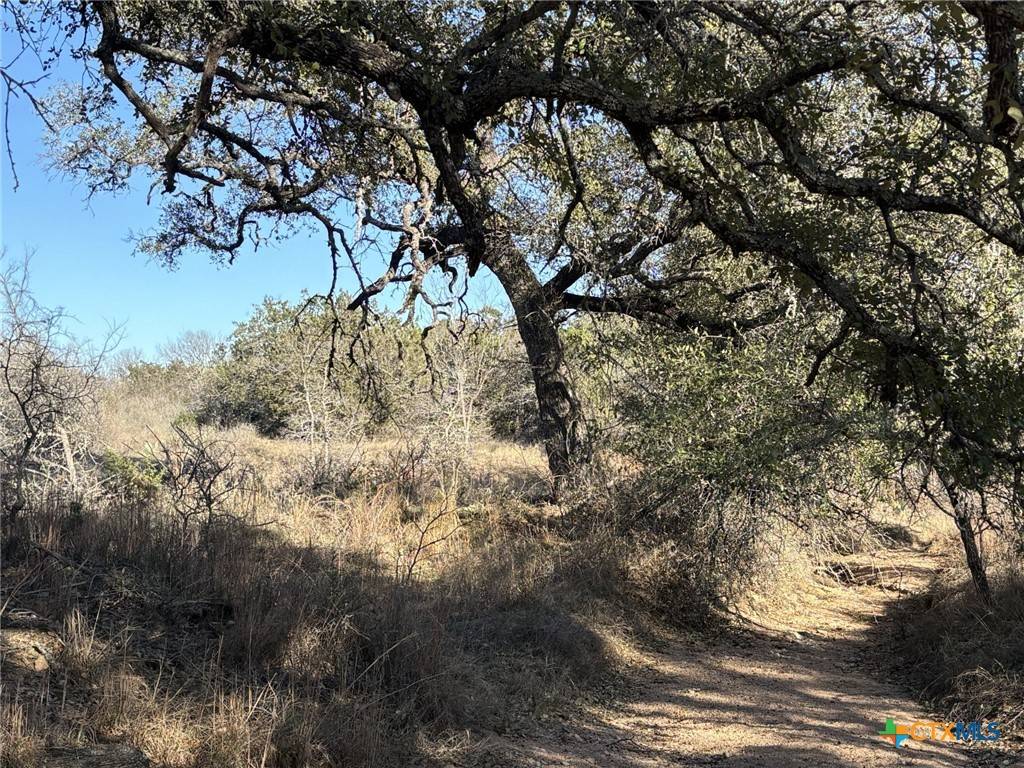 Buchanan Dam, TX 78609,241 Lehne LOOP
