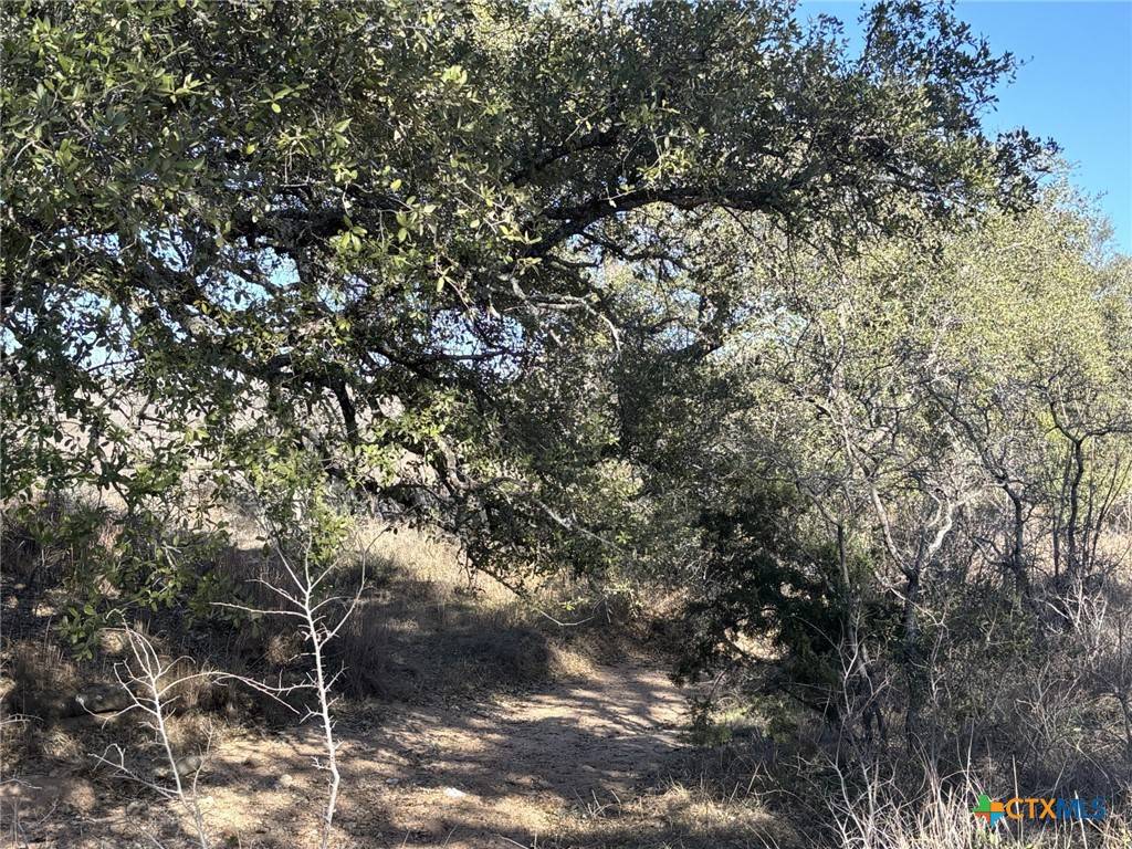 Buchanan Dam, TX 78609,241 Lehne LOOP