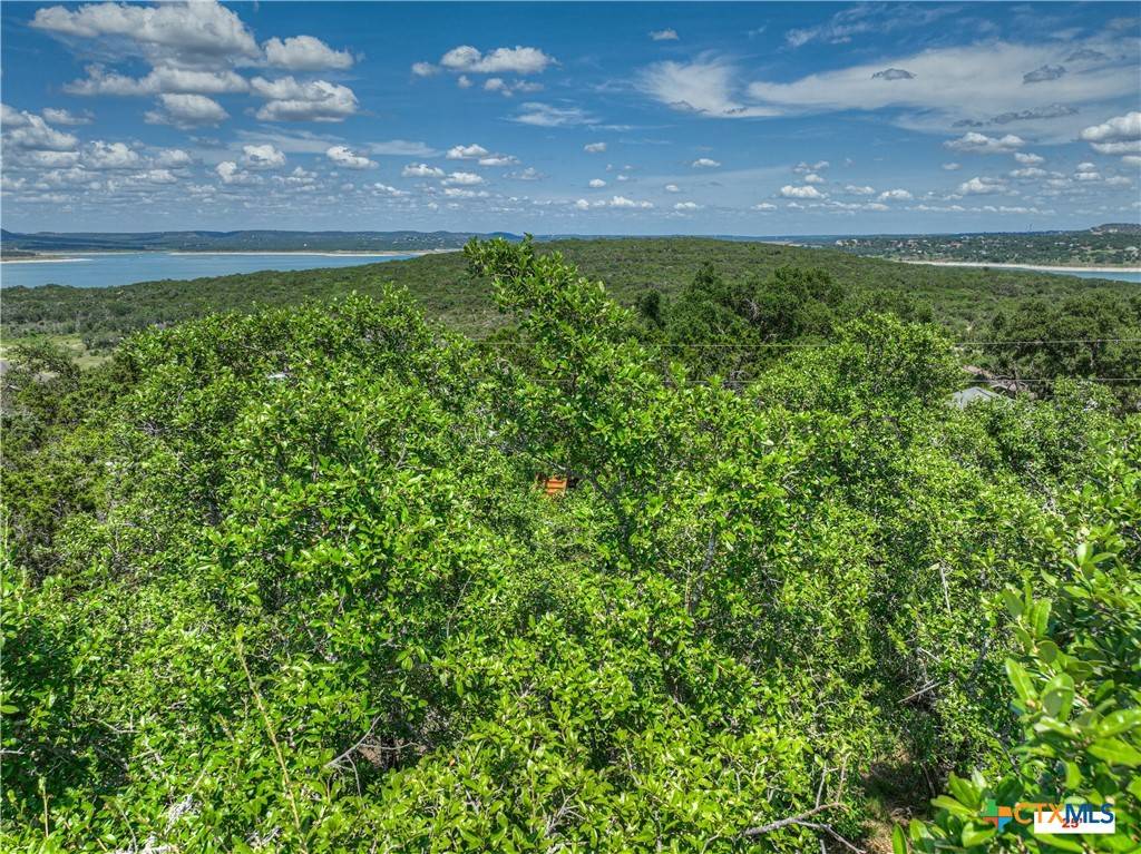 Canyon Lake, TX 78133,164 Circle DR