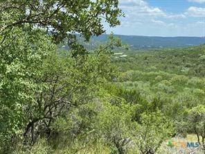 Leander, TX 78641,11351 Johnson RD