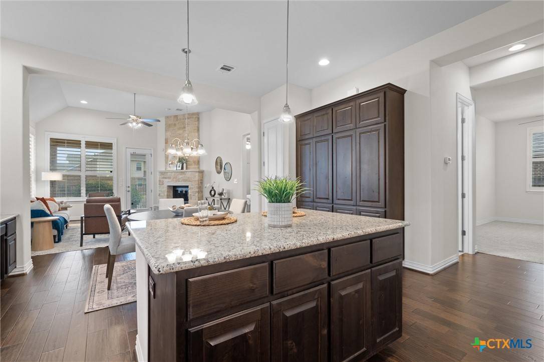 Liberty Hill, TX 78642,408 Miracle Rose WAY