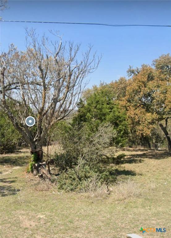Canyon Lake, TX 78133,719 La Cresta DR