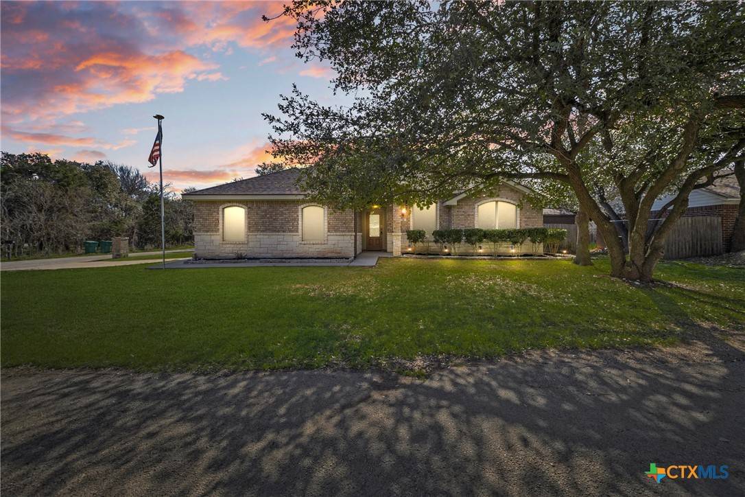 Belton, TX 76513,36 Golden Poppy LOOP