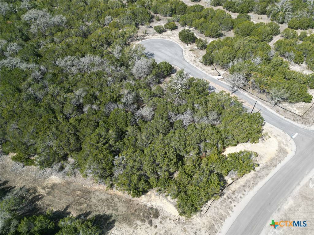 Bertram, TX 78605,Lot 15 Edwards CT