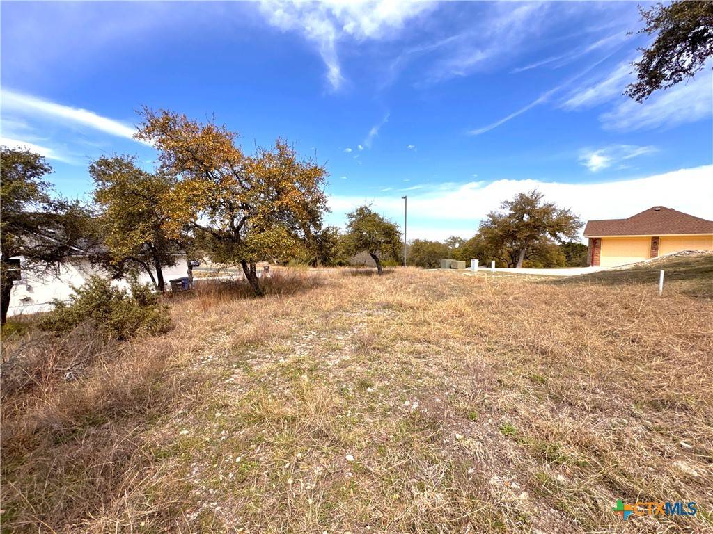 Canyon Lake, TX 78133,644 Angelica VIS