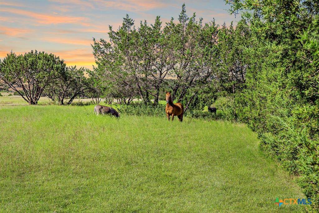 Copperas Cove, TX 76539,3656 Fm 2657