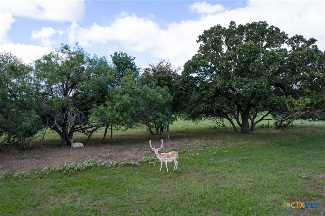 Seguin, TX 78155,1450 Woelke Rd