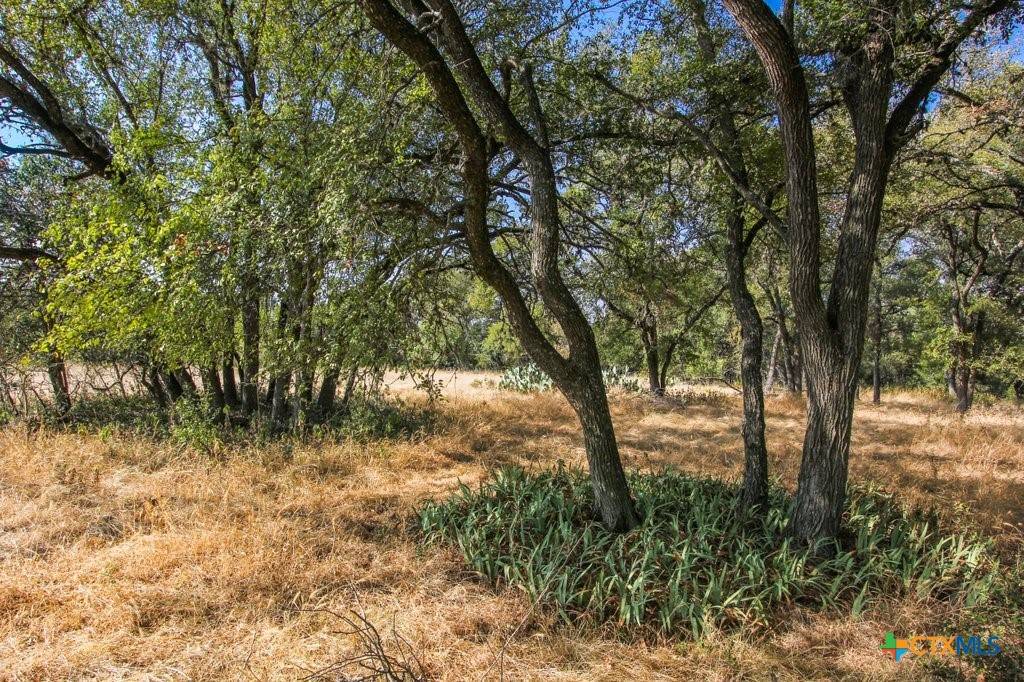 San Marcos, TX 78666,000 Wren Haven Dr