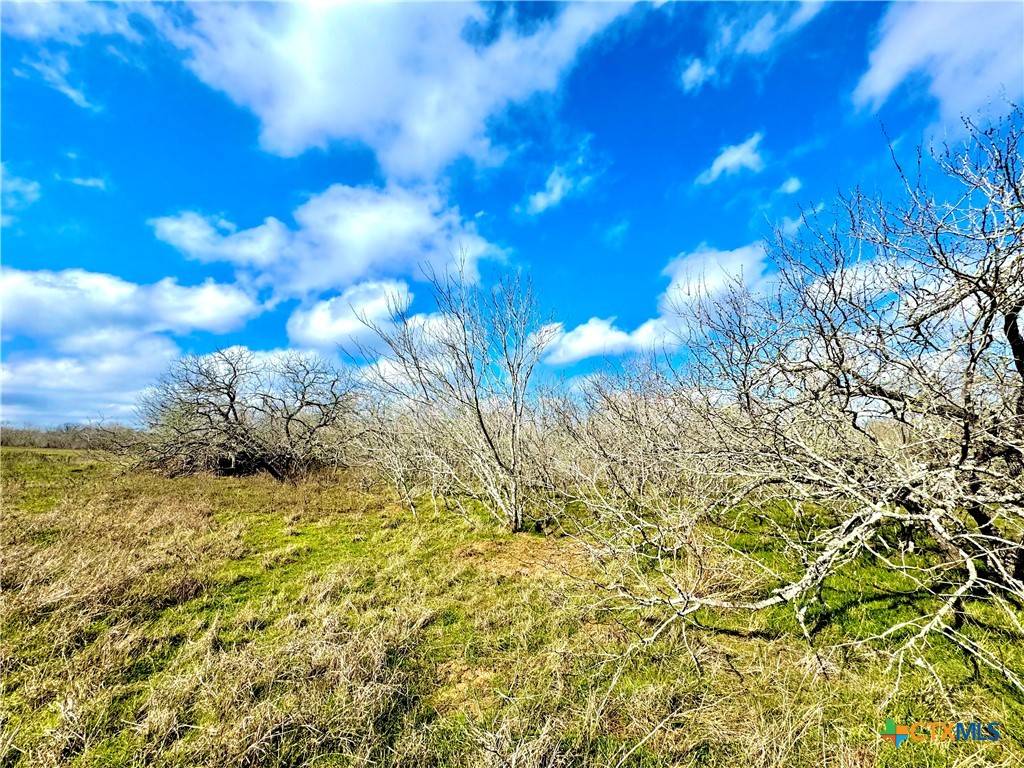 Waelder, TX 78959,1118 CR 447