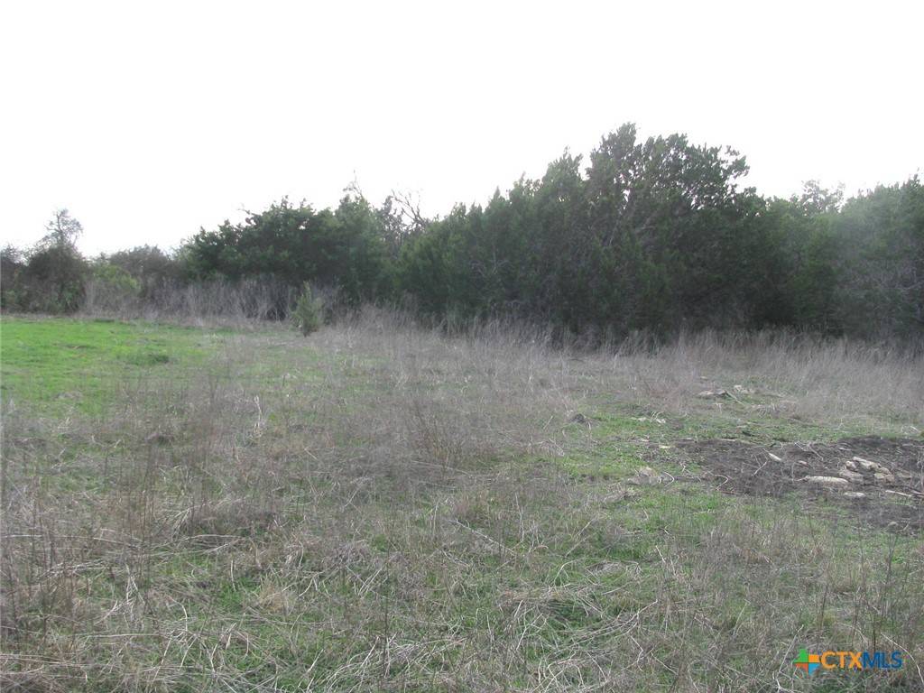 Gatesville, TX 76528,19.95 Acres TBD Old Georgetown RD