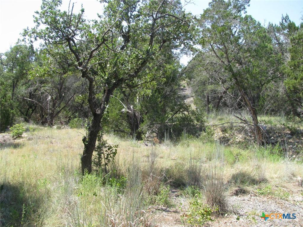 Evant, TX 76525,Lot 11 Ph 5 Private RD