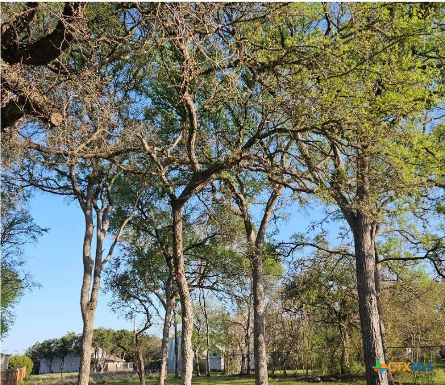 Canyon Lake, TX 78133,2022 Blueridge DR