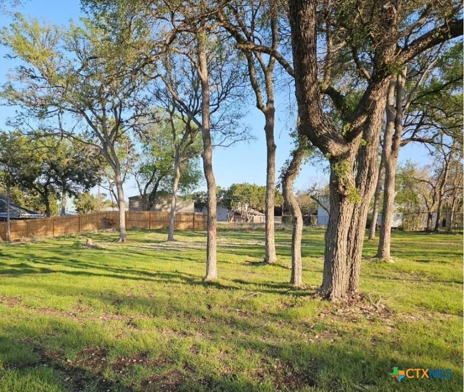 Canyon Lake, TX 78133,2022 Blueridge DR