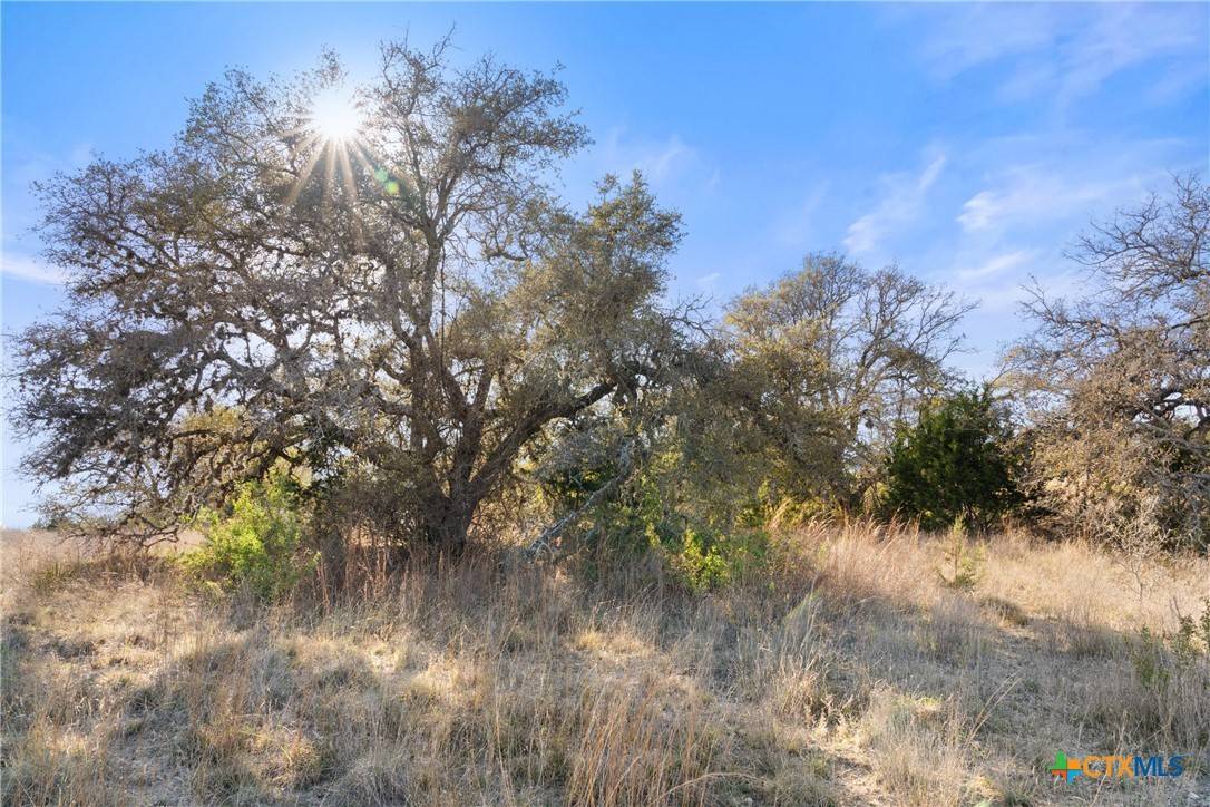 Johnson City, TX 78636,328 Cypress View DR