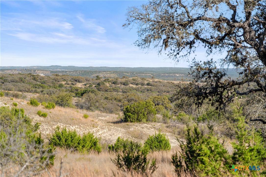 Johnson City, TX 78636,328 Cypress View DR