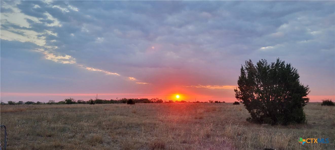 Hamilton, TX 76531,4453 County Road 619 RD