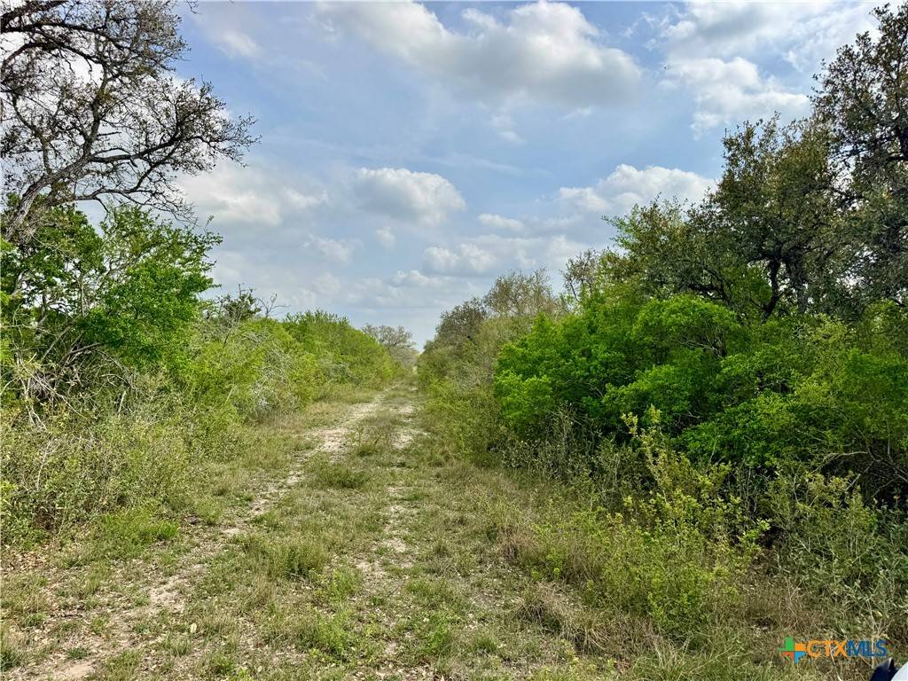 Goliad, TX 77963,4025 Oil Field RD