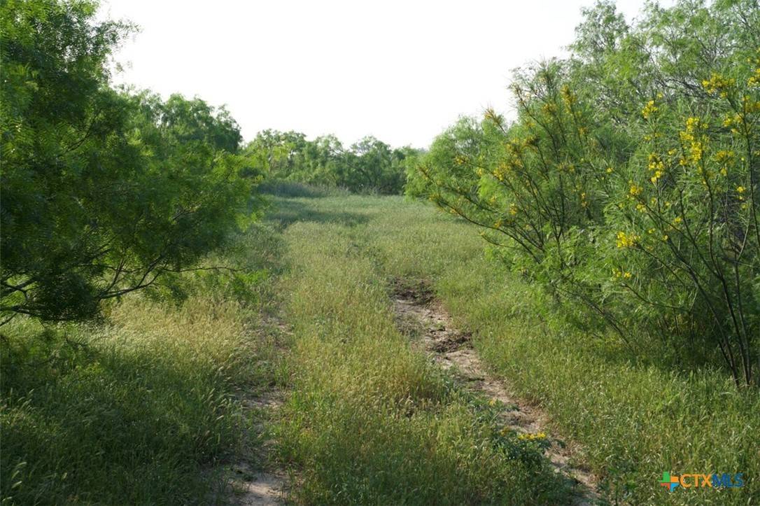 Red Rock, TX 78662,TBD Taylorsville Road