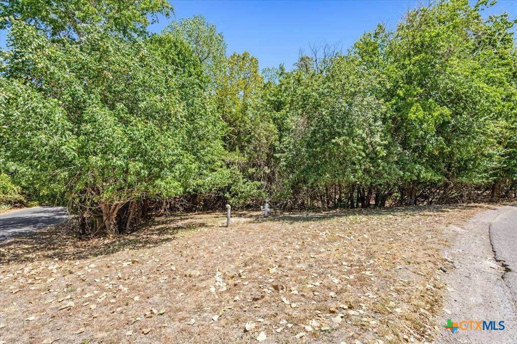 Salado, TX 76571,717 Willow Creek RD