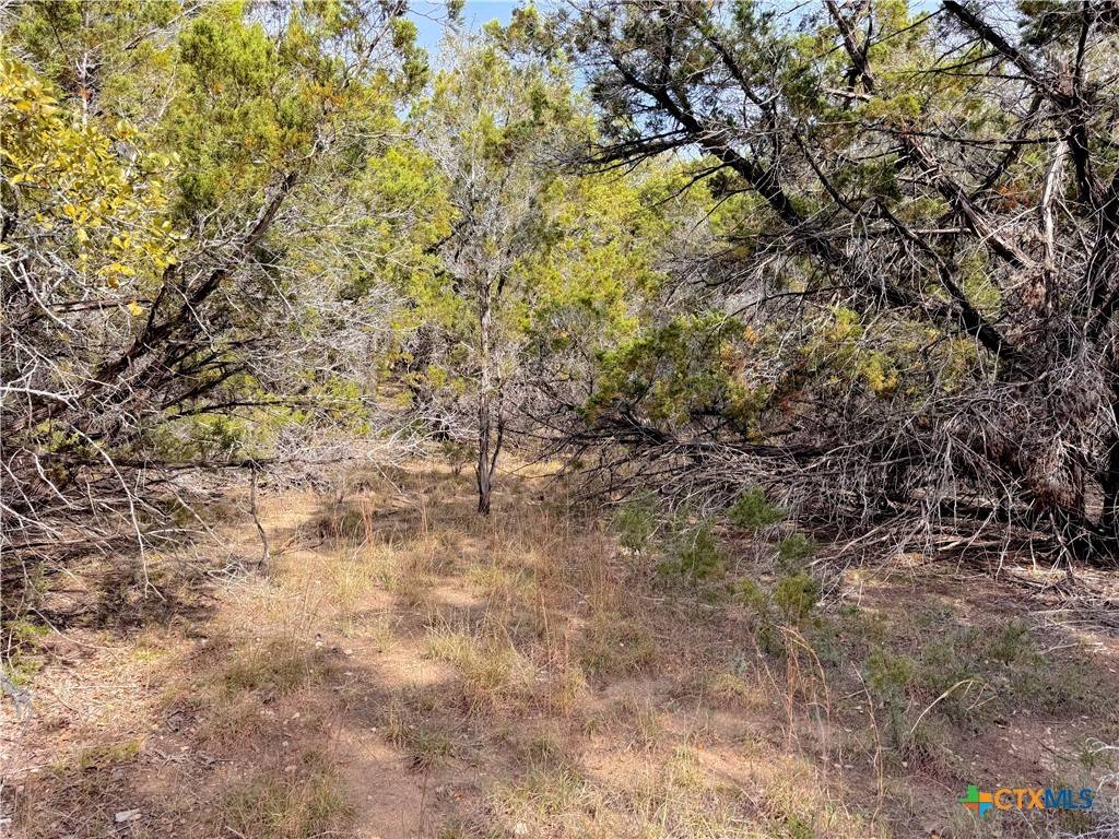 Spring Branch, TX 78070,1223 Cedar Grove TRL