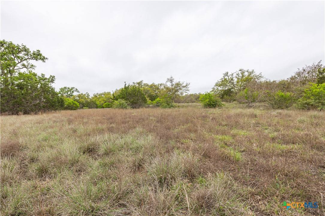Blanco, TX 78606,TBD Logan's WAY