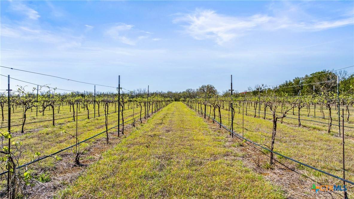 Stonewall, TX 78671,400 Chateau Lane