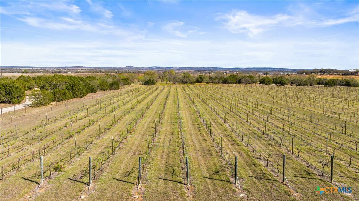 Stonewall, TX 78671,400 Chateau Lane