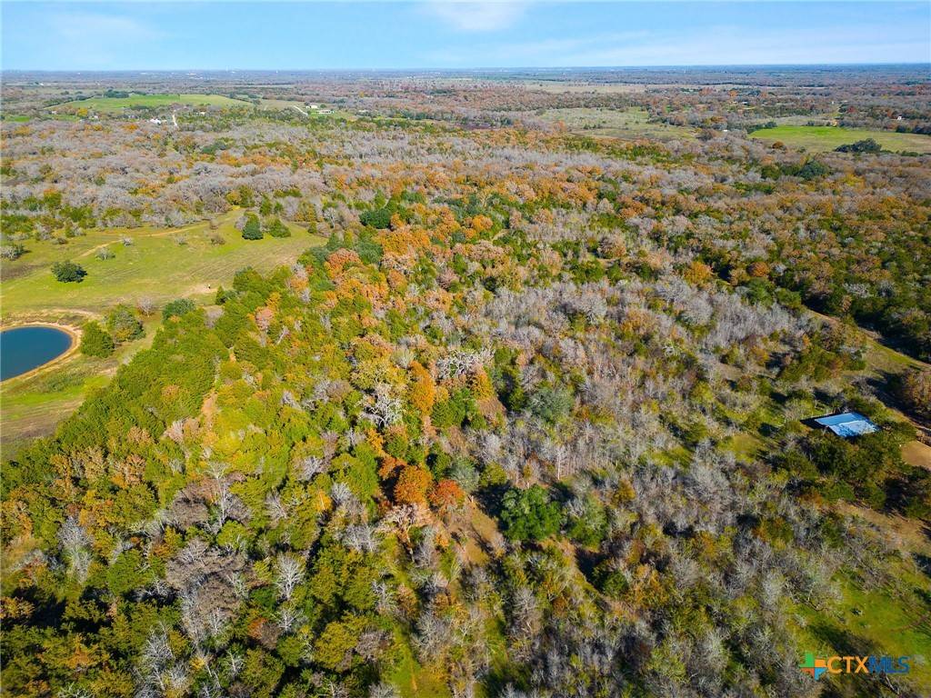 Cedar Creek, TX 78612,272 Deadwood RD