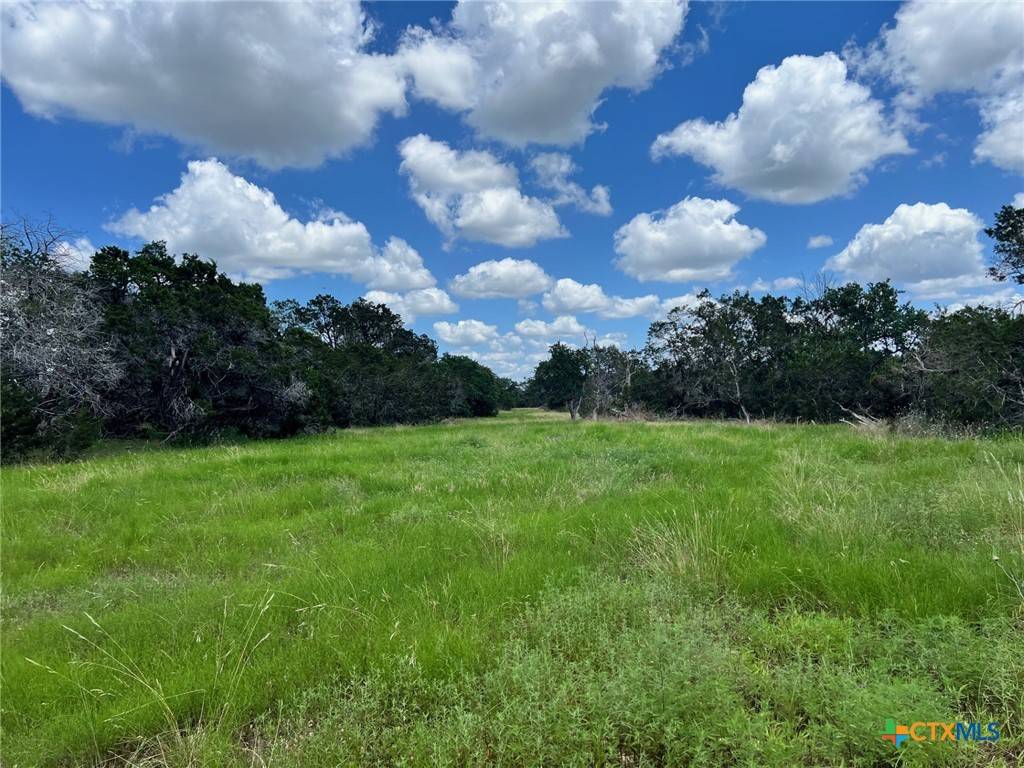 Bertram, TX 78695,Lot 1 Riparian Elm Rd