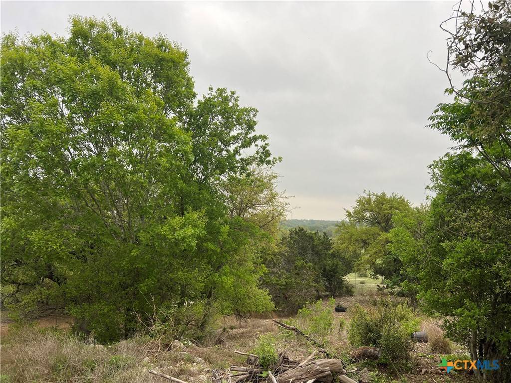 Spring Branch, TX 78070,5045 Apache Moon