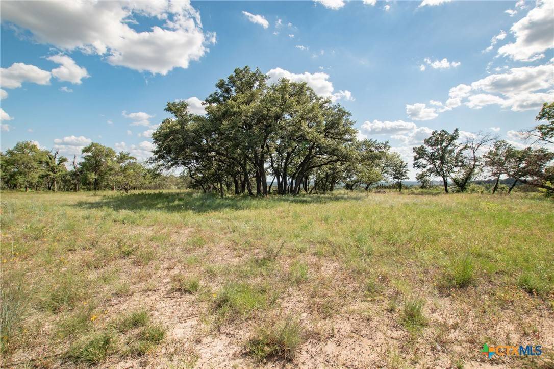 Lampasas, TX 76550,FM 580 E. 0123  Lot 23 & Lot 25