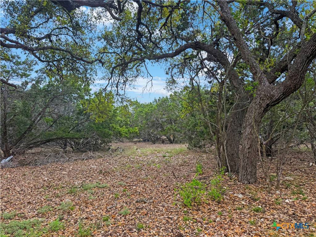 Spring Branch, TX 78070,237 Toucan DR